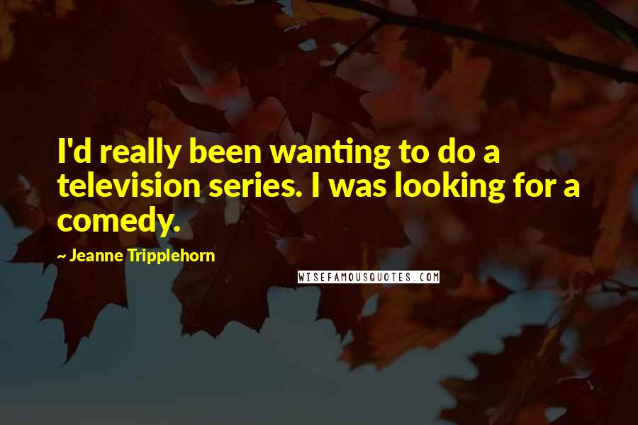 Jeanne Tripplehorn Quotes: I'd really been wanting to do a television series. I was looking for a comedy.