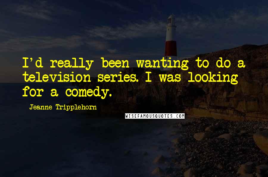 Jeanne Tripplehorn Quotes: I'd really been wanting to do a television series. I was looking for a comedy.