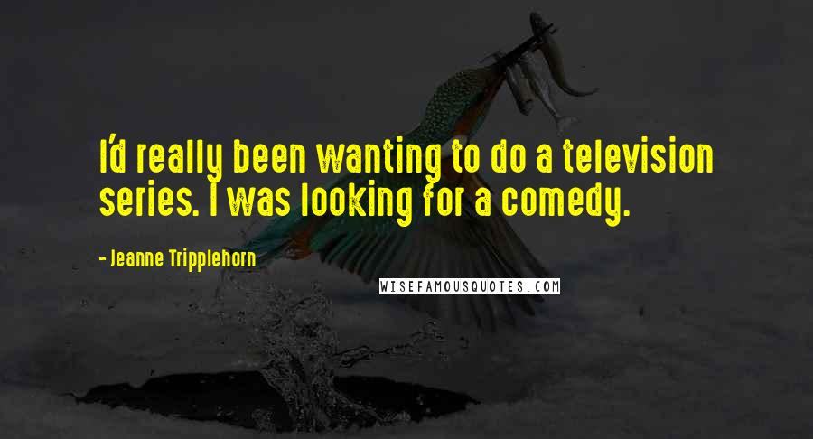 Jeanne Tripplehorn Quotes: I'd really been wanting to do a television series. I was looking for a comedy.