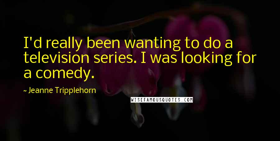 Jeanne Tripplehorn Quotes: I'd really been wanting to do a television series. I was looking for a comedy.