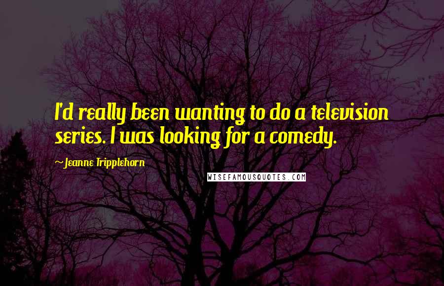 Jeanne Tripplehorn Quotes: I'd really been wanting to do a television series. I was looking for a comedy.