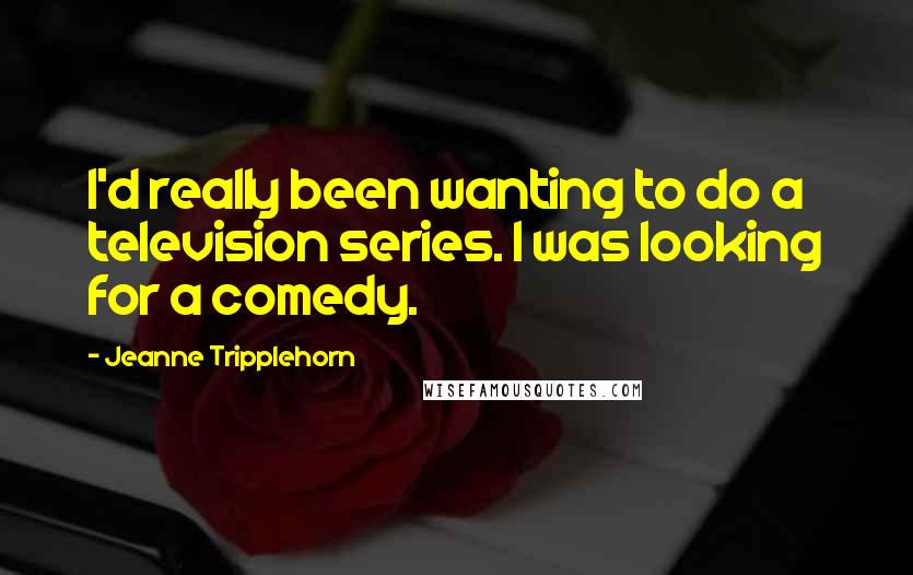 Jeanne Tripplehorn Quotes: I'd really been wanting to do a television series. I was looking for a comedy.