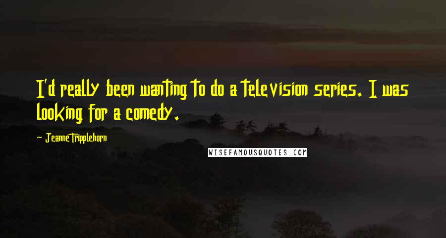 Jeanne Tripplehorn Quotes: I'd really been wanting to do a television series. I was looking for a comedy.