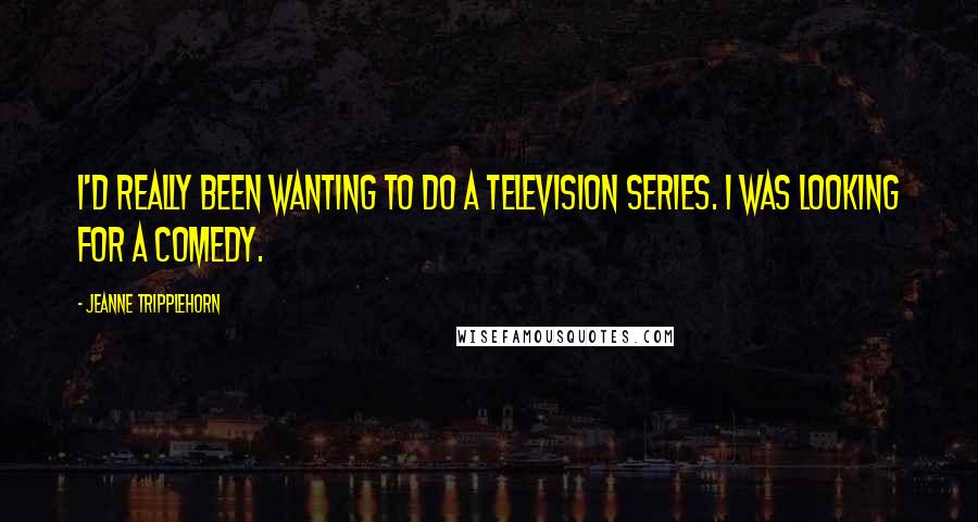 Jeanne Tripplehorn Quotes: I'd really been wanting to do a television series. I was looking for a comedy.