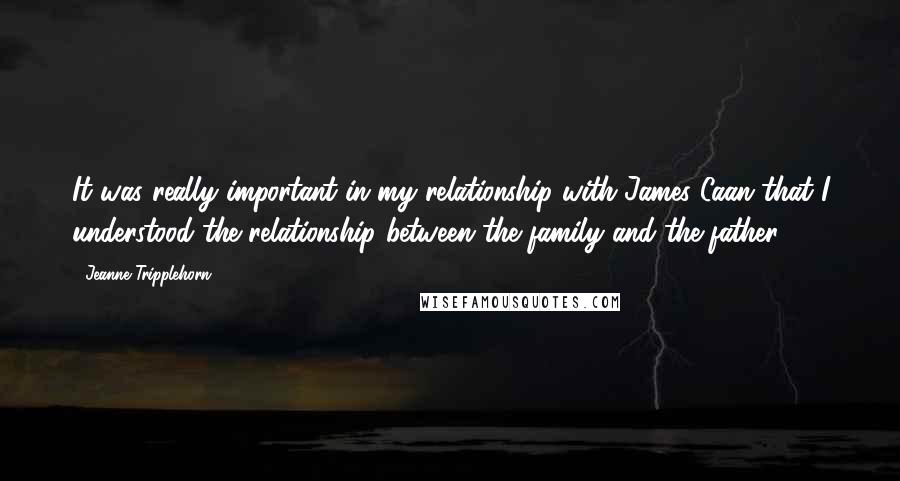 Jeanne Tripplehorn Quotes: It was really important in my relationship with James Caan that I understood the relationship between the family and the father.