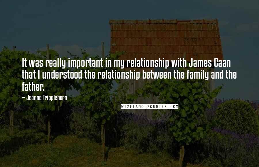 Jeanne Tripplehorn Quotes: It was really important in my relationship with James Caan that I understood the relationship between the family and the father.