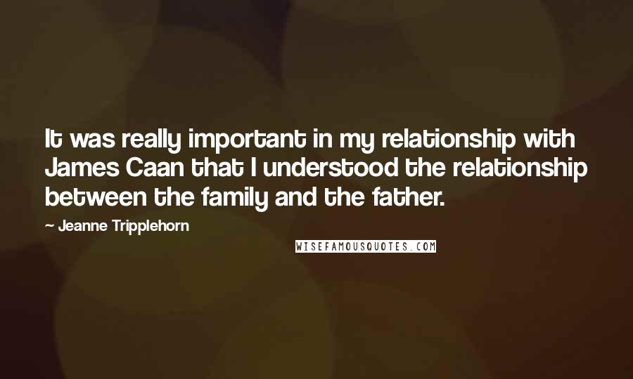 Jeanne Tripplehorn Quotes: It was really important in my relationship with James Caan that I understood the relationship between the family and the father.