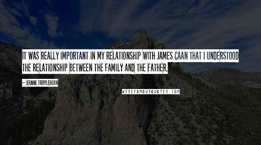 Jeanne Tripplehorn Quotes: It was really important in my relationship with James Caan that I understood the relationship between the family and the father.