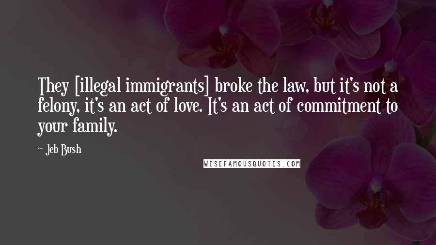 Jeb Bush Quotes: They [illegal immigrants] broke the law, but it's not a felony, it's an act of love. It's an act of commitment to your family.