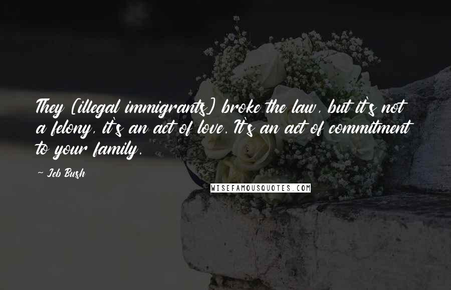 Jeb Bush Quotes: They [illegal immigrants] broke the law, but it's not a felony, it's an act of love. It's an act of commitment to your family.