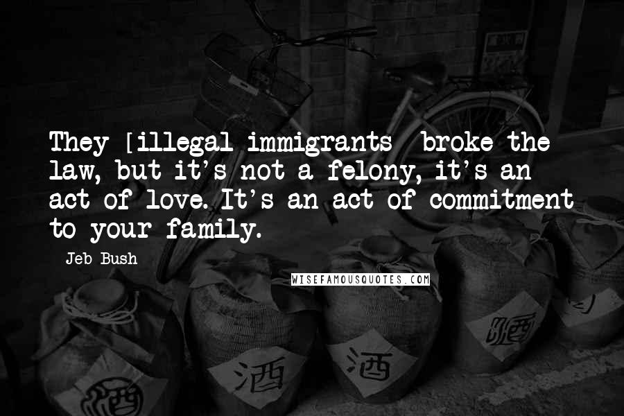 Jeb Bush Quotes: They [illegal immigrants] broke the law, but it's not a felony, it's an act of love. It's an act of commitment to your family.