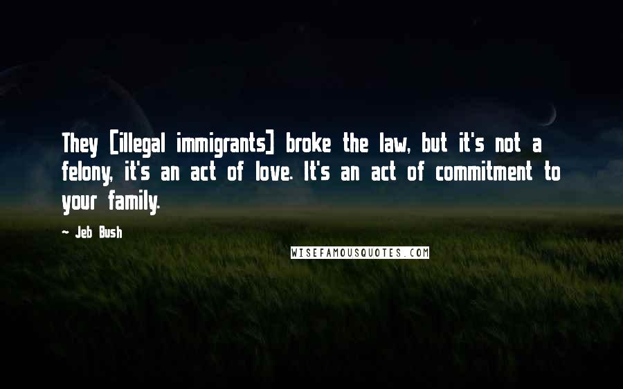 Jeb Bush Quotes: They [illegal immigrants] broke the law, but it's not a felony, it's an act of love. It's an act of commitment to your family.