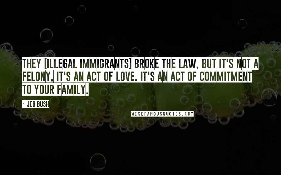 Jeb Bush Quotes: They [illegal immigrants] broke the law, but it's not a felony, it's an act of love. It's an act of commitment to your family.