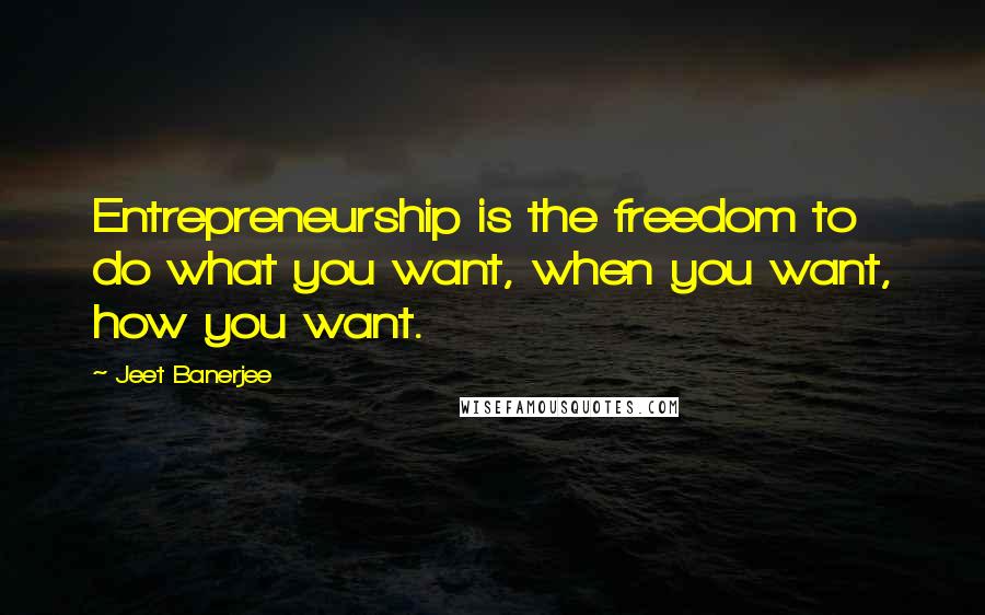 Jeet Banerjee Quotes: Entrepreneurship is the freedom to do what you want, when you want, how you want.