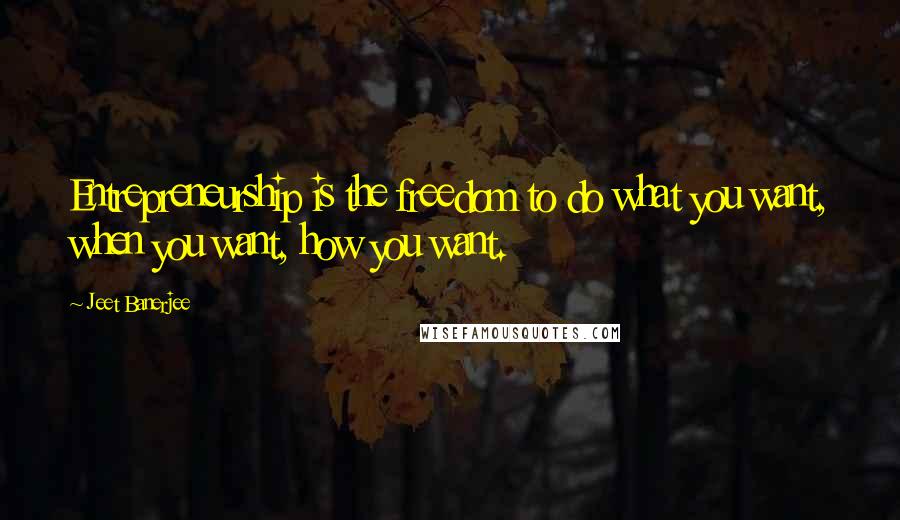Jeet Banerjee Quotes: Entrepreneurship is the freedom to do what you want, when you want, how you want.
