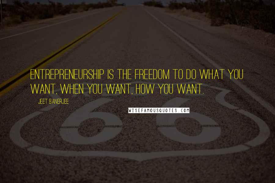 Jeet Banerjee Quotes: Entrepreneurship is the freedom to do what you want, when you want, how you want.