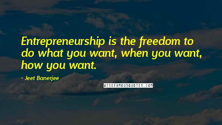 Jeet Banerjee Quotes: Entrepreneurship is the freedom to do what you want, when you want, how you want.