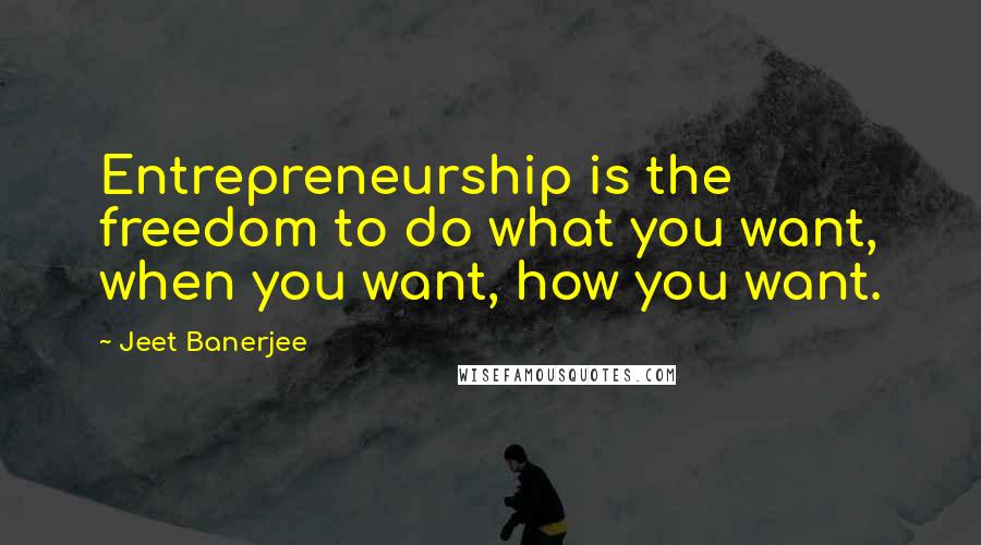 Jeet Banerjee Quotes: Entrepreneurship is the freedom to do what you want, when you want, how you want.