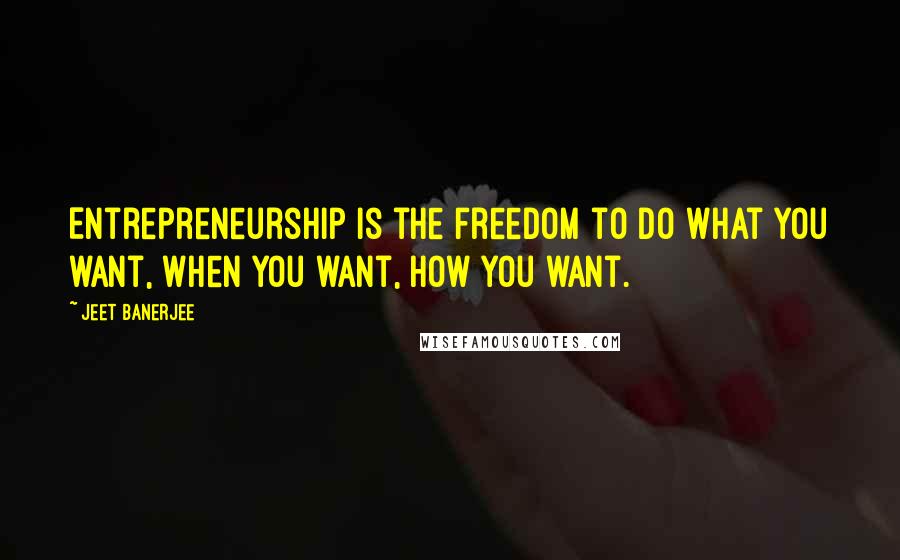 Jeet Banerjee Quotes: Entrepreneurship is the freedom to do what you want, when you want, how you want.