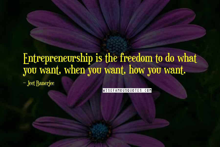 Jeet Banerjee Quotes: Entrepreneurship is the freedom to do what you want, when you want, how you want.