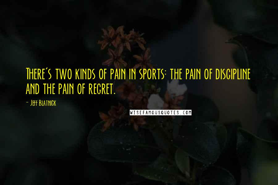 Jeff Blatnick Quotes: There's two kinds of pain in sports: the pain of discipline and the pain of regret.