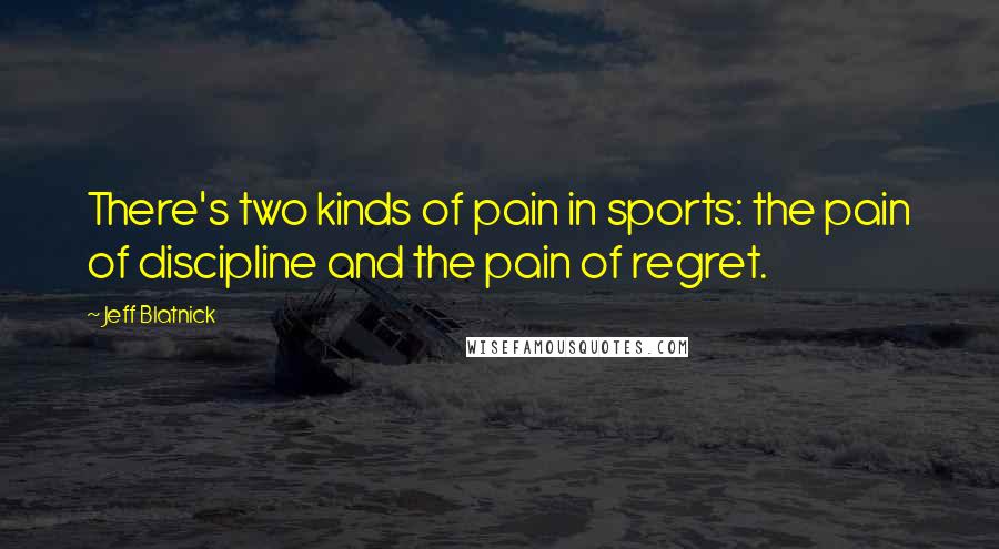 Jeff Blatnick Quotes: There's two kinds of pain in sports: the pain of discipline and the pain of regret.