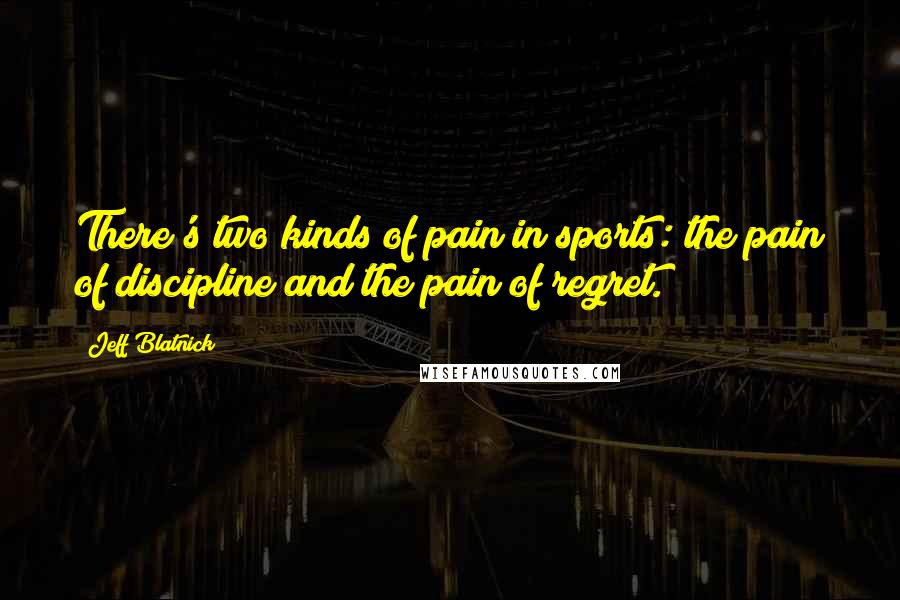 Jeff Blatnick Quotes: There's two kinds of pain in sports: the pain of discipline and the pain of regret.