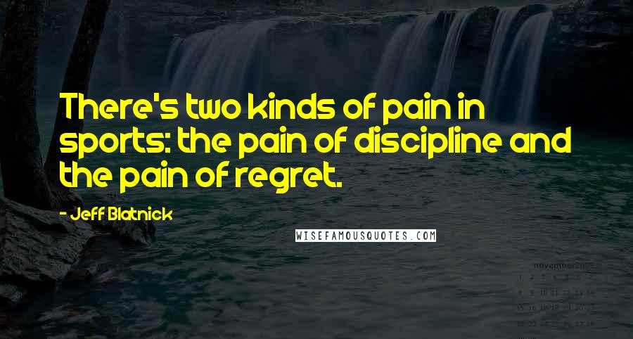 Jeff Blatnick Quotes: There's two kinds of pain in sports: the pain of discipline and the pain of regret.