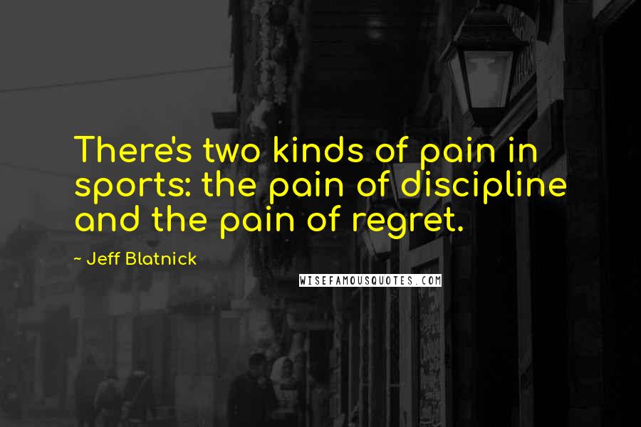 Jeff Blatnick Quotes: There's two kinds of pain in sports: the pain of discipline and the pain of regret.