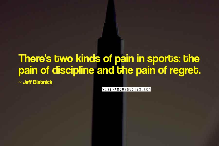 Jeff Blatnick Quotes: There's two kinds of pain in sports: the pain of discipline and the pain of regret.