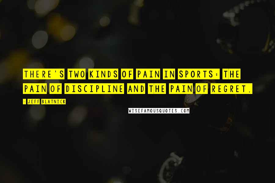 Jeff Blatnick Quotes: There's two kinds of pain in sports: the pain of discipline and the pain of regret.