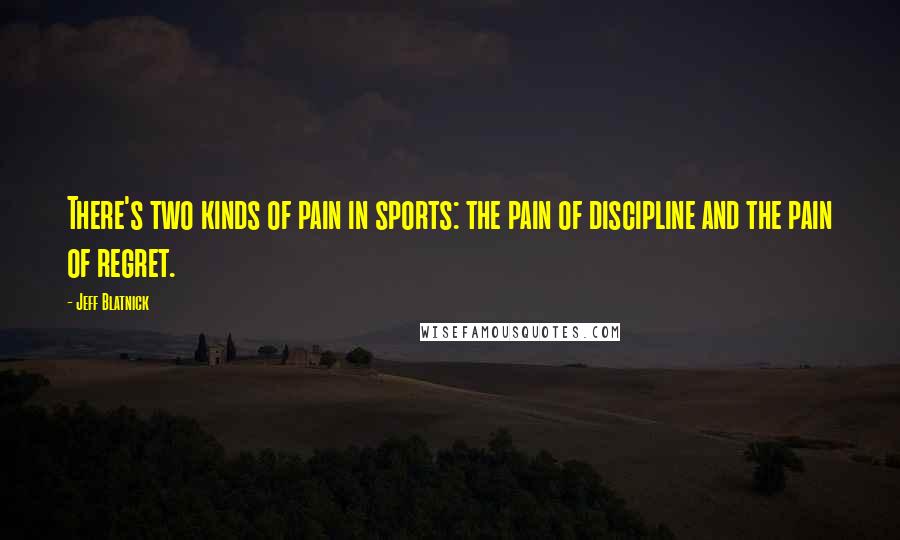Jeff Blatnick Quotes: There's two kinds of pain in sports: the pain of discipline and the pain of regret.