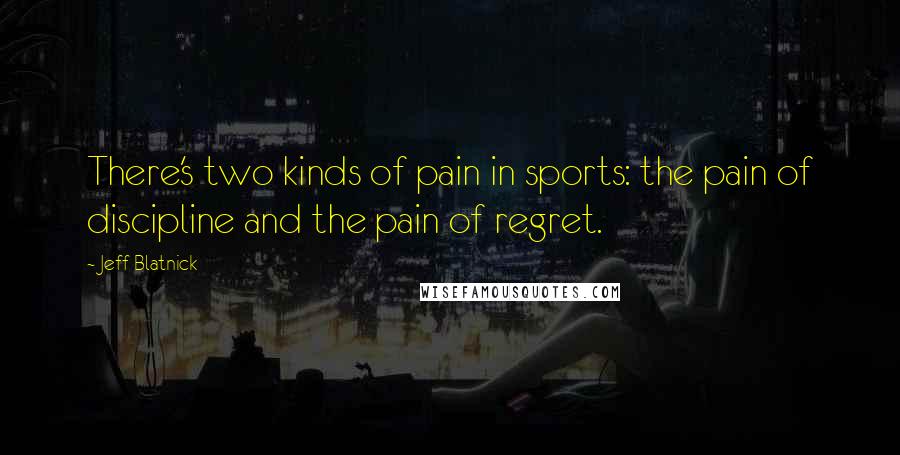 Jeff Blatnick Quotes: There's two kinds of pain in sports: the pain of discipline and the pain of regret.