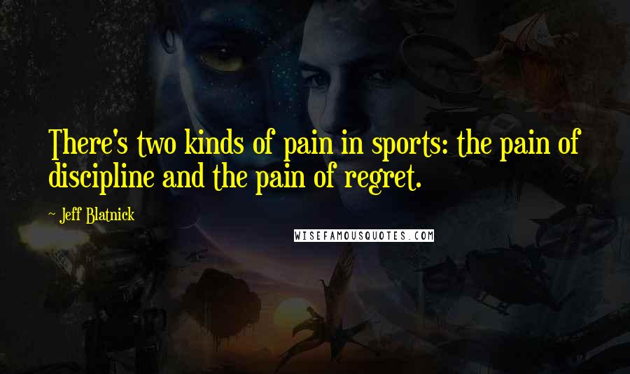 Jeff Blatnick Quotes: There's two kinds of pain in sports: the pain of discipline and the pain of regret.