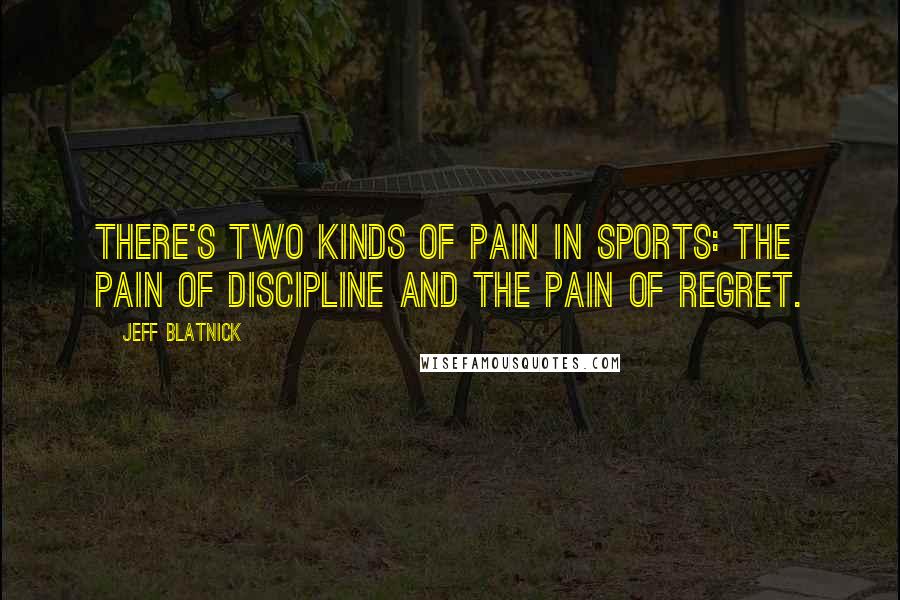 Jeff Blatnick Quotes: There's two kinds of pain in sports: the pain of discipline and the pain of regret.