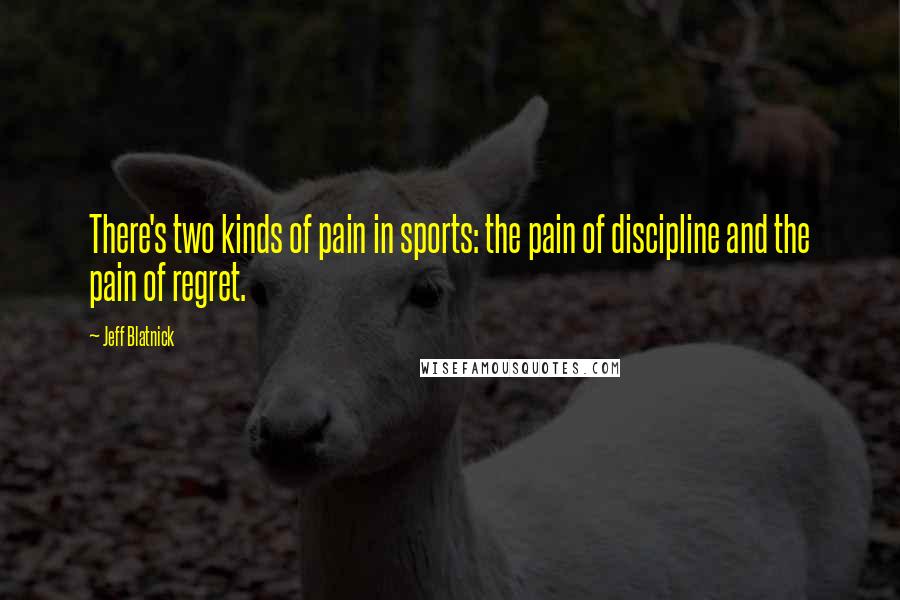 Jeff Blatnick Quotes: There's two kinds of pain in sports: the pain of discipline and the pain of regret.