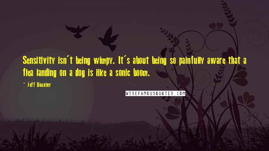 Jeff Buckley Quotes: Sensitivity isn't being wimpy. It's about being so painfully aware that a flea landing on a dog is like a sonic boom.