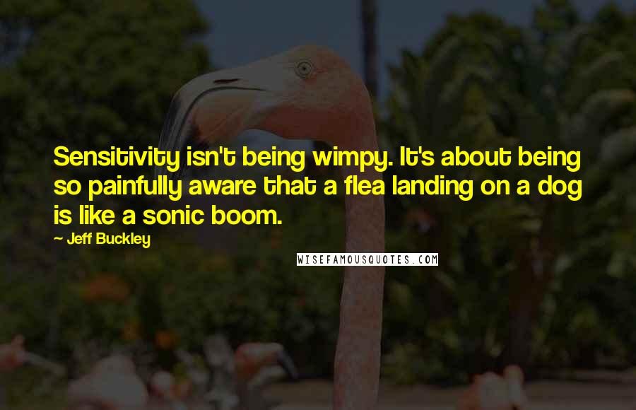 Jeff Buckley Quotes: Sensitivity isn't being wimpy. It's about being so painfully aware that a flea landing on a dog is like a sonic boom.