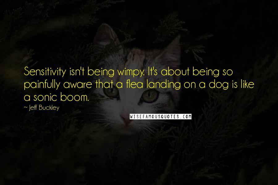 Jeff Buckley Quotes: Sensitivity isn't being wimpy. It's about being so painfully aware that a flea landing on a dog is like a sonic boom.