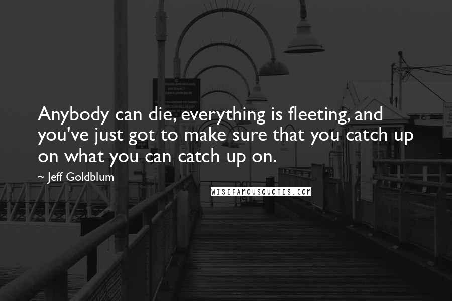 Jeff Goldblum Quotes: Anybody can die, everything is fleeting, and you've just got to make sure that you catch up on what you can catch up on.