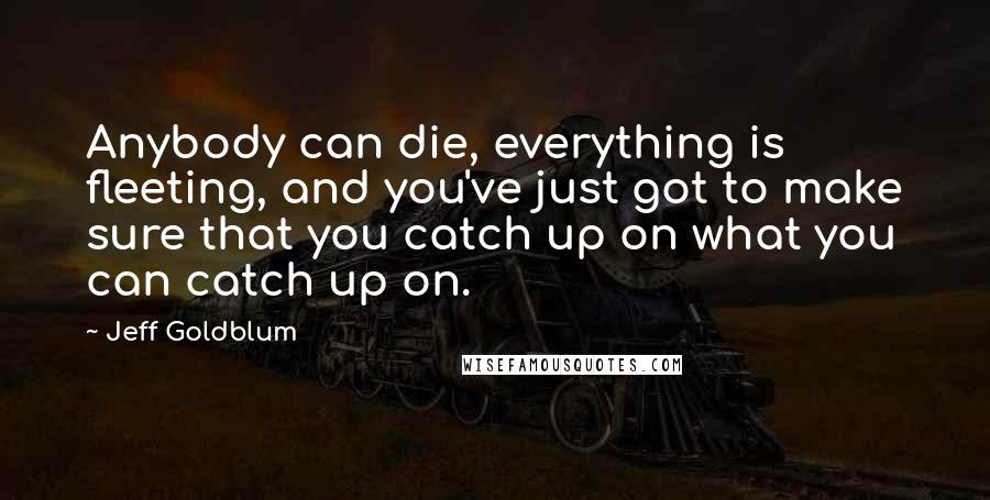 Jeff Goldblum Quotes: Anybody can die, everything is fleeting, and you've just got to make sure that you catch up on what you can catch up on.