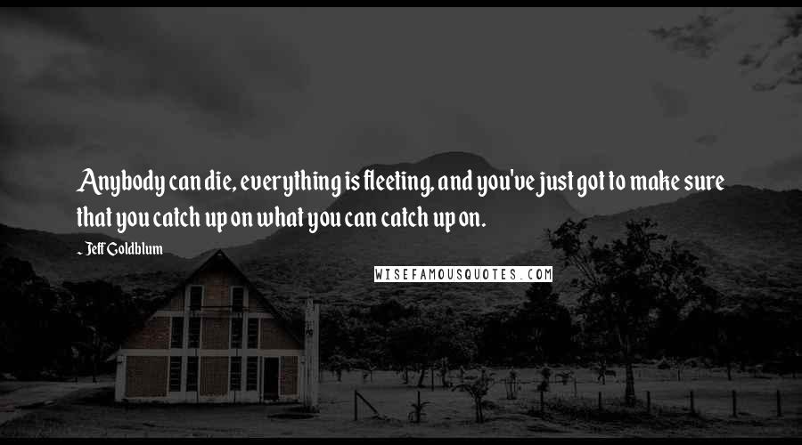 Jeff Goldblum Quotes: Anybody can die, everything is fleeting, and you've just got to make sure that you catch up on what you can catch up on.