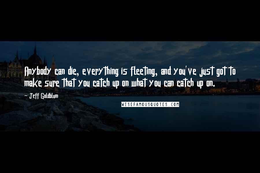 Jeff Goldblum Quotes: Anybody can die, everything is fleeting, and you've just got to make sure that you catch up on what you can catch up on.