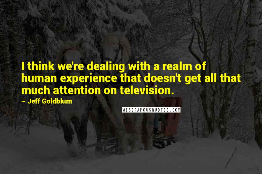 Jeff Goldblum Quotes: I think we're dealing with a realm of human experience that doesn't get all that much attention on television.