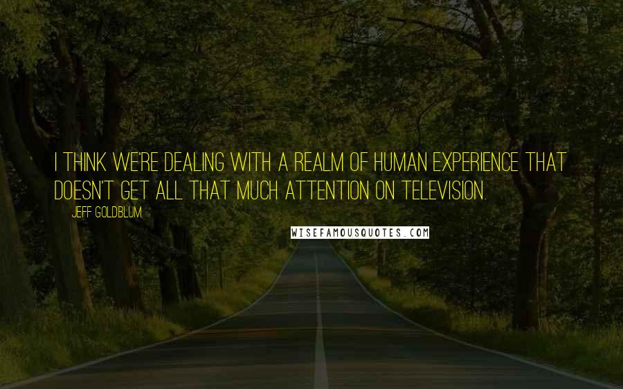 Jeff Goldblum Quotes: I think we're dealing with a realm of human experience that doesn't get all that much attention on television.