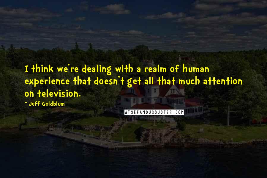 Jeff Goldblum Quotes: I think we're dealing with a realm of human experience that doesn't get all that much attention on television.