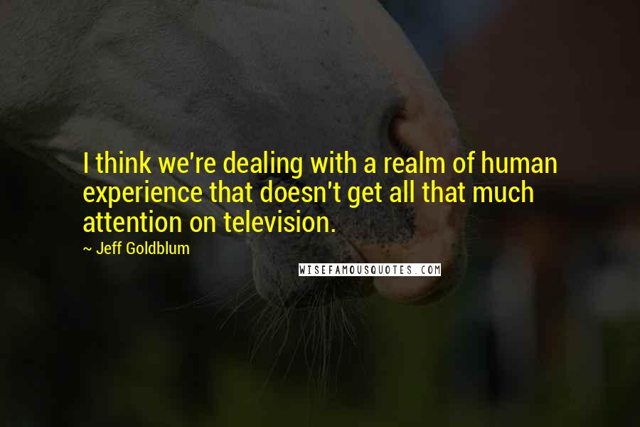 Jeff Goldblum Quotes: I think we're dealing with a realm of human experience that doesn't get all that much attention on television.