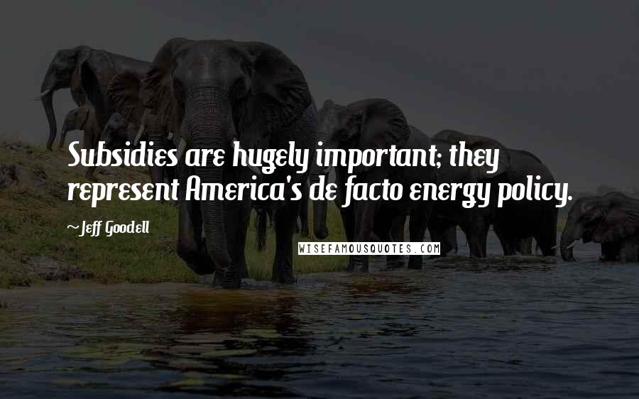 Jeff Goodell Quotes: Subsidies are hugely important; they represent America's de facto energy policy.