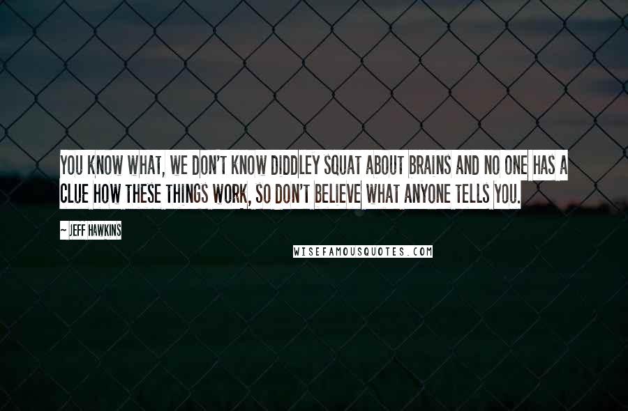 Jeff Hawkins Quotes: You know what, we don't know diddley squat about brains and no one has a clue how these things work, so don't believe what anyone tells you.