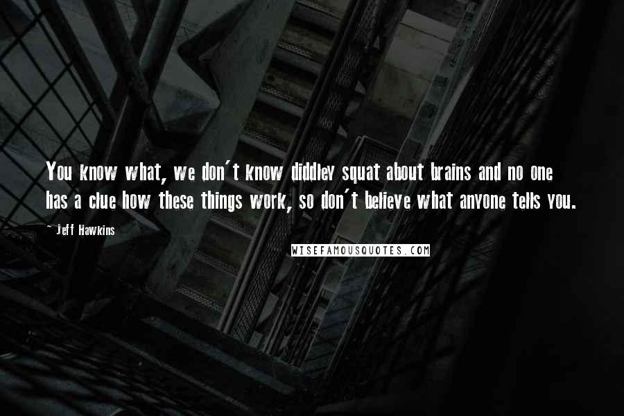 Jeff Hawkins Quotes: You know what, we don't know diddley squat about brains and no one has a clue how these things work, so don't believe what anyone tells you.